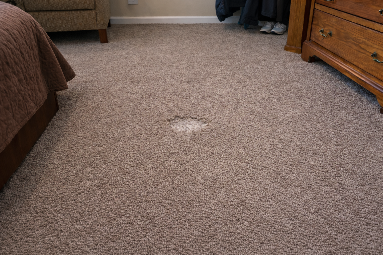 Bald Spot Photo 1 Chat GTP