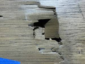 10-Dec 27 2022 11_01am-Xu4d