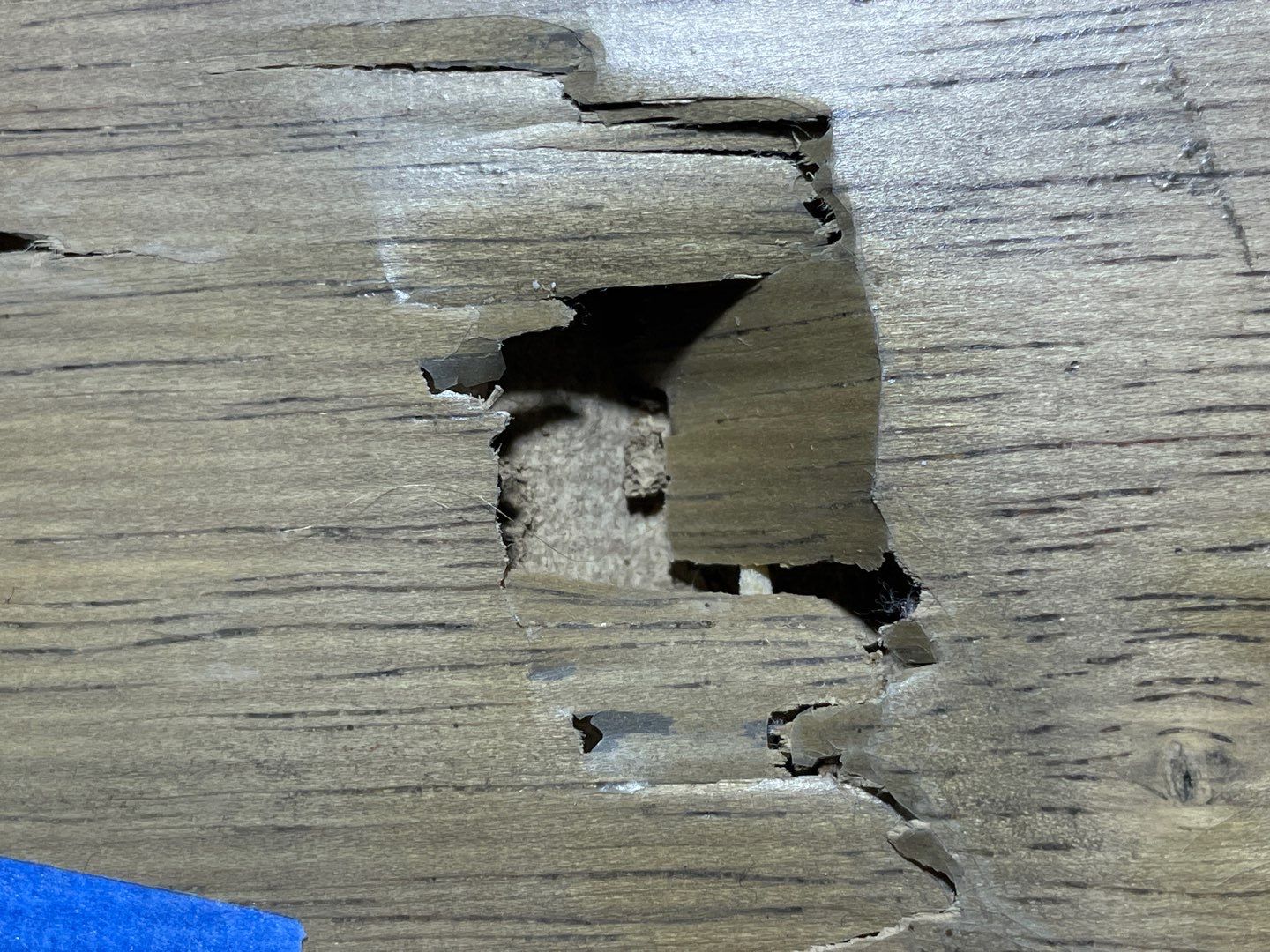 10-Dec 27 2022 11_01am-Xu4d