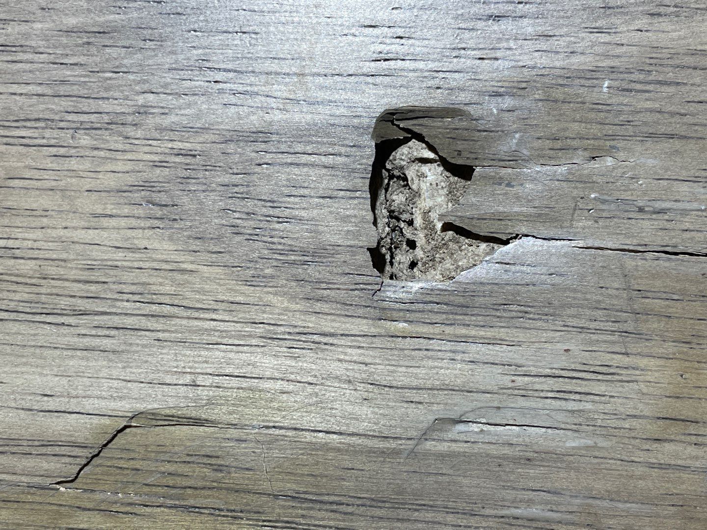 11-Dec 27 2022 11_01am-Npqu