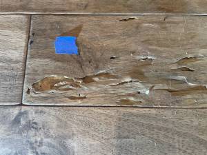 22-Dec 27 2022 11_05am-3Lx9