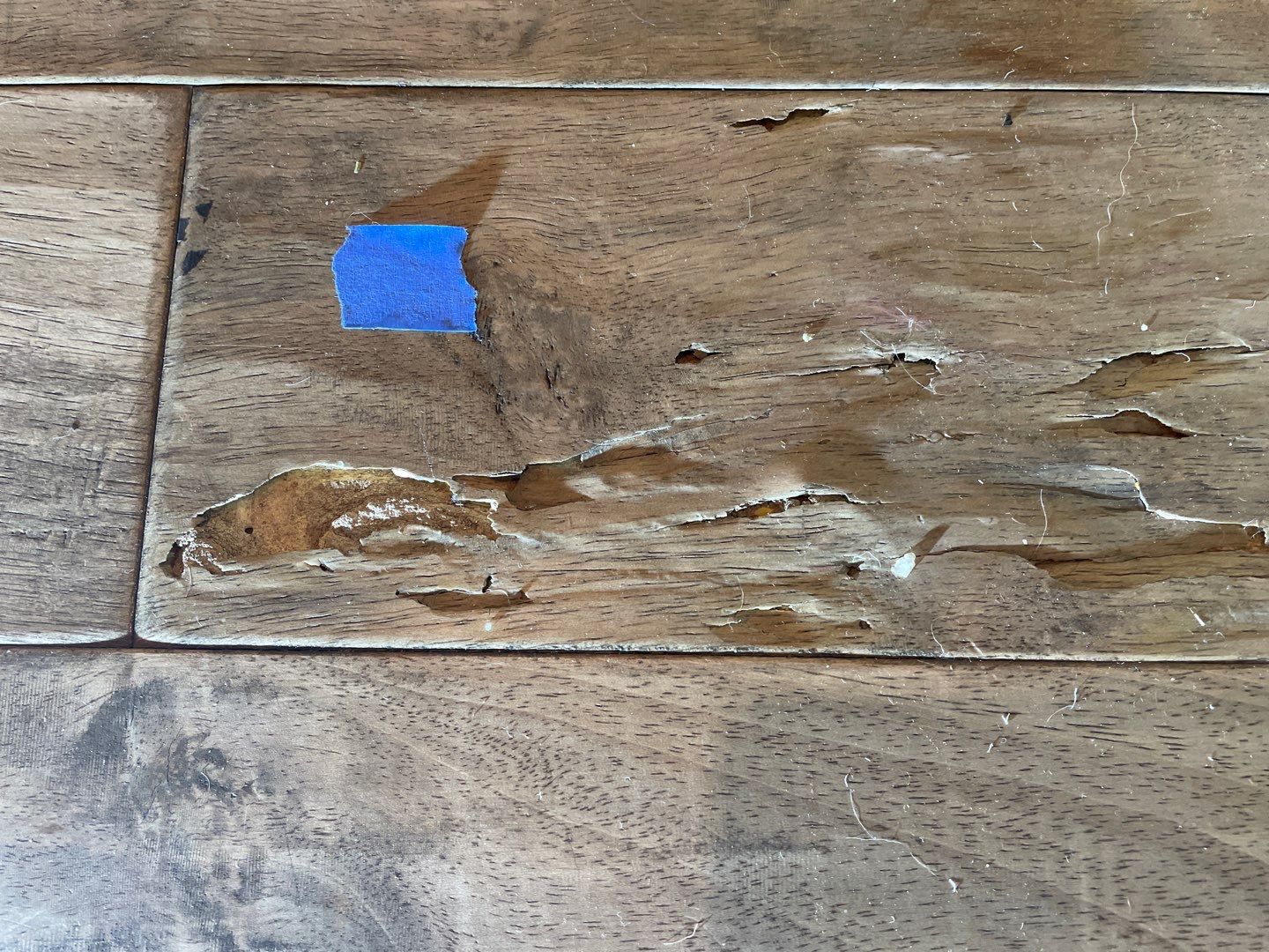 22-Dec 27 2022 11_05am-3Lx9