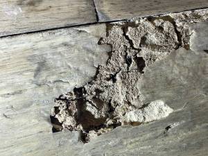 24-Dec 27 2022 11_06am-1p8d