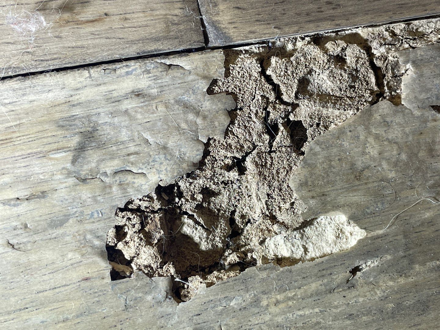 24-Dec 27 2022 11_06am-1p8d