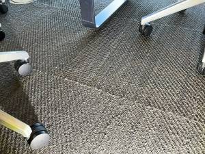 Carpet Tile Fuzzy Edges 668