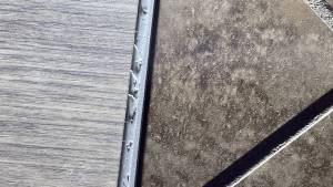 2-Mar 03 2023 01_10pm-dAMo