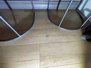 17-Apr 03 2024 10_40am-y2Tk