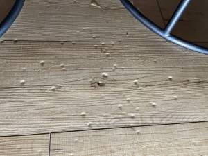 18-Apr 03 2024 10_40am-m3sD