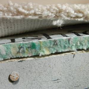 Carpet squeaking noise caused by movement between cushion and subfloor