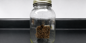 GMW 3205 Odor Evaluations - Featured image 2 6-10-26
