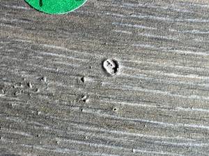 31-Sep 24 2024 08_49am-9ouT