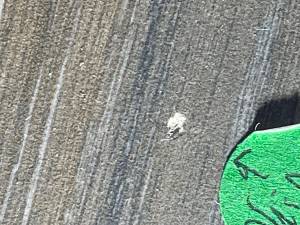 34-Sep 24 2024 08_52am-1KG6