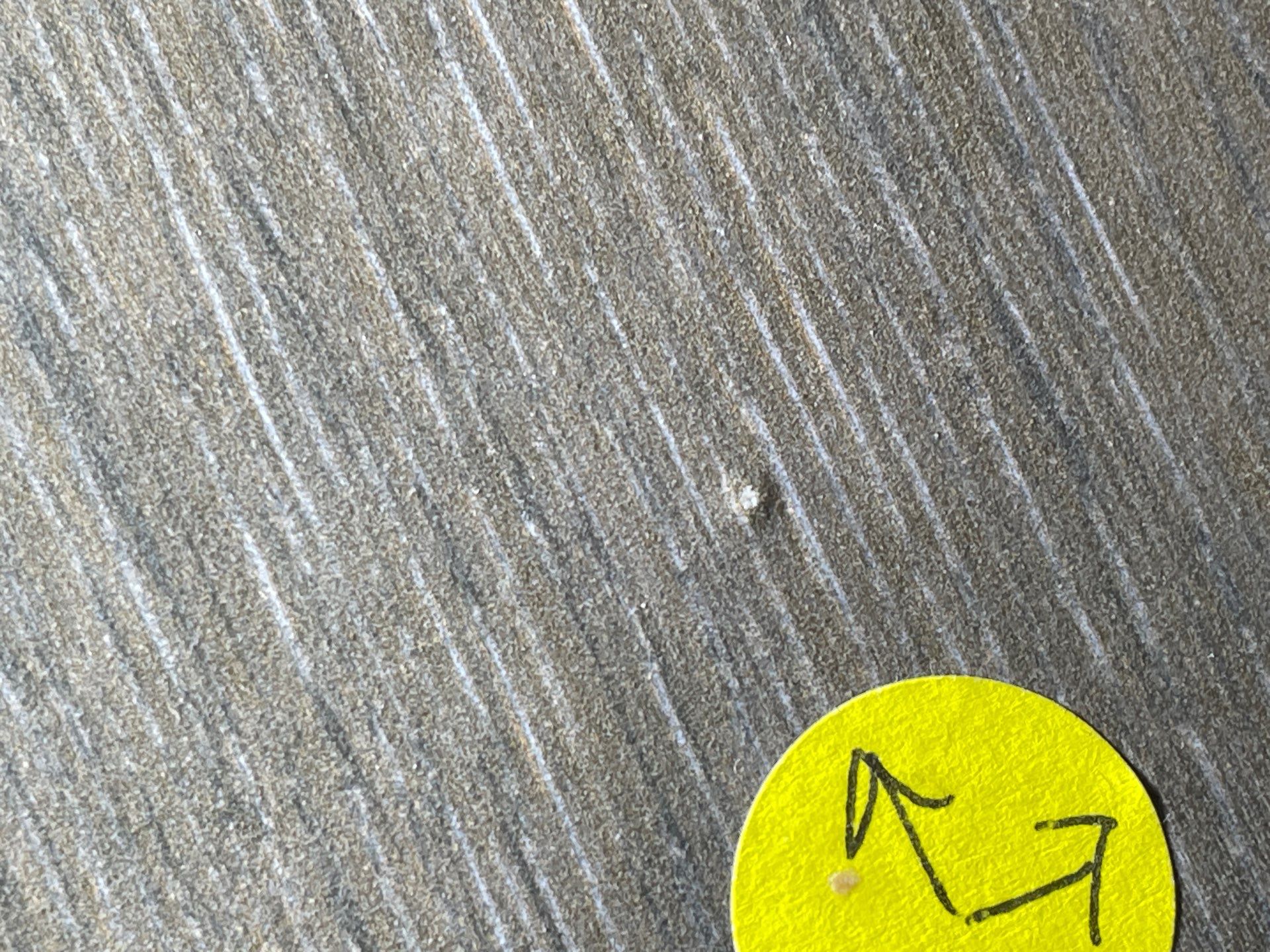 41-Sep 24 2024 08_56am-d3CP