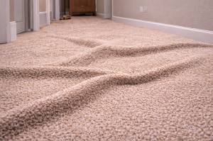 Dimensional Stability Carpet Photo 1 - Chat GPT