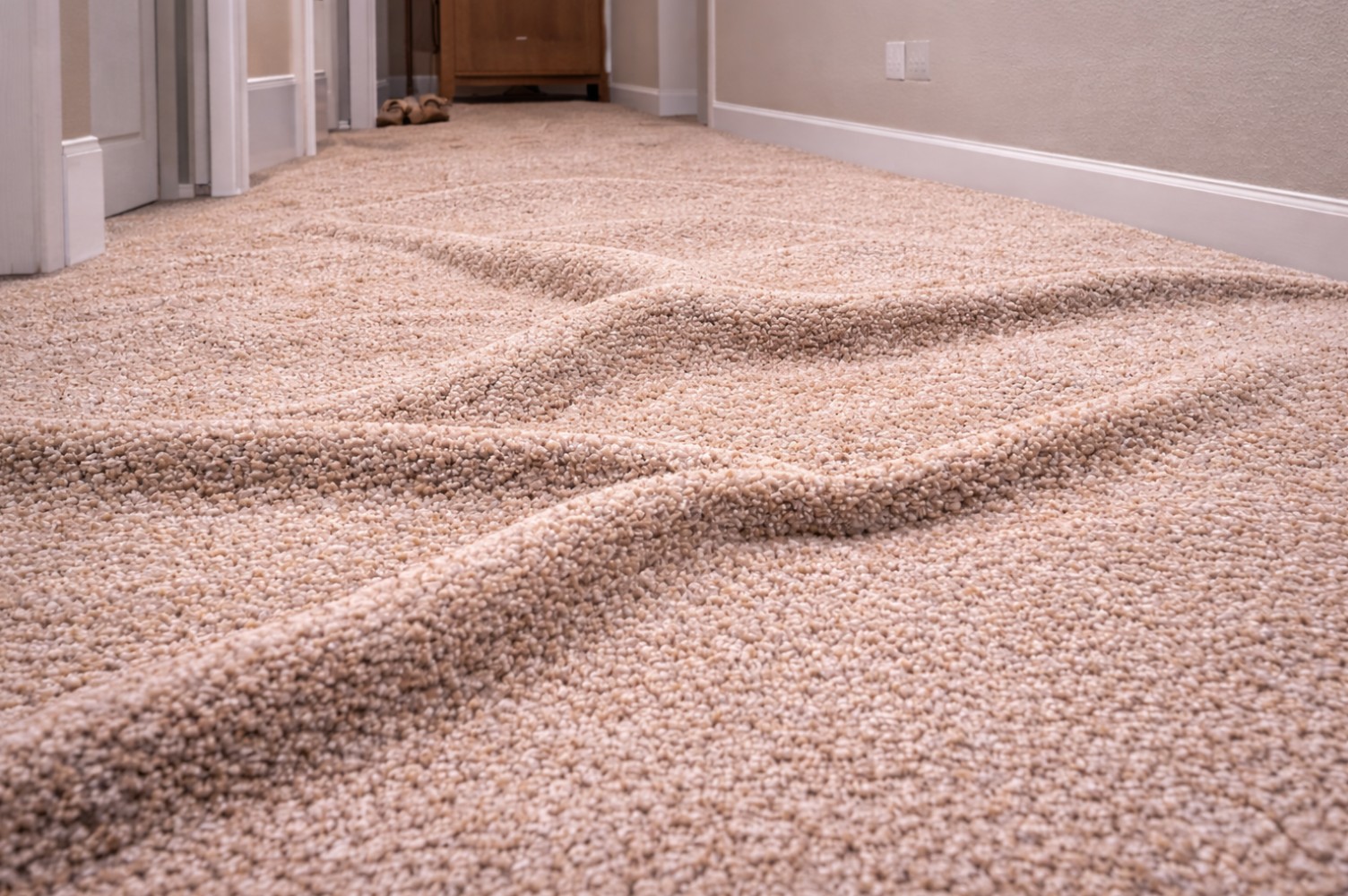 Dimensional Stability Carpet Photo 1 - Chat GPT