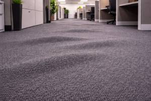 Bubbles - Glue Down Carpet Photo 1 - Chat GPT