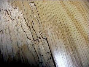 Laminate - Chair Protectors 4455