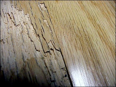 Laminate - Chair Protectors 4455