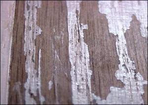 Laminate - Chair Protectors 42355