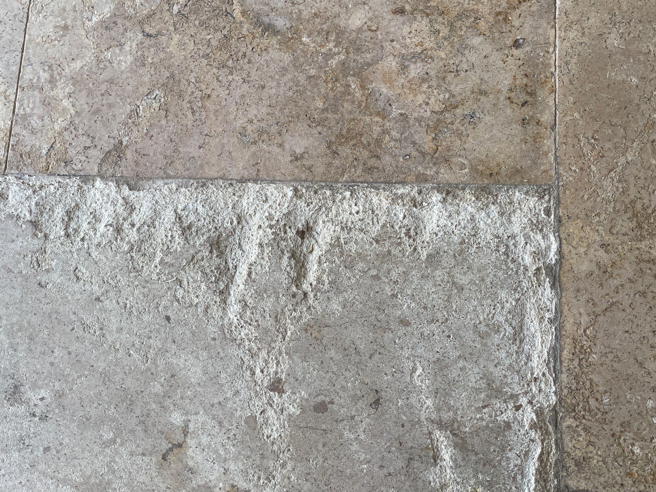 39-Nov 08 2023 11_12am-drpA