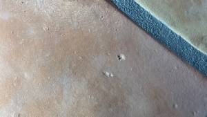 84-May 25 2023 11_57am-tcGt