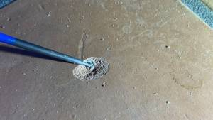 122-May 25 2023 12_03pm-Yz6E