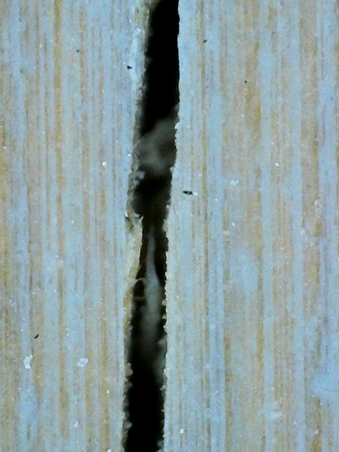 2023-08-02-12-39-35-923