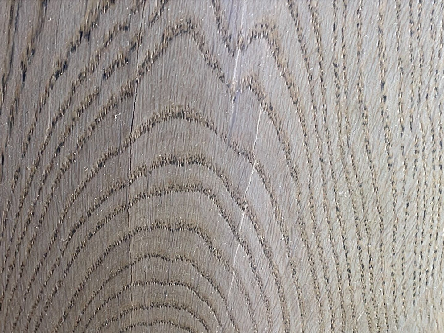 18-Aug 02 2023 12_29pm-N9iR