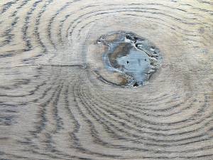 33-Aug 02 2023 12_48pm-2hMa