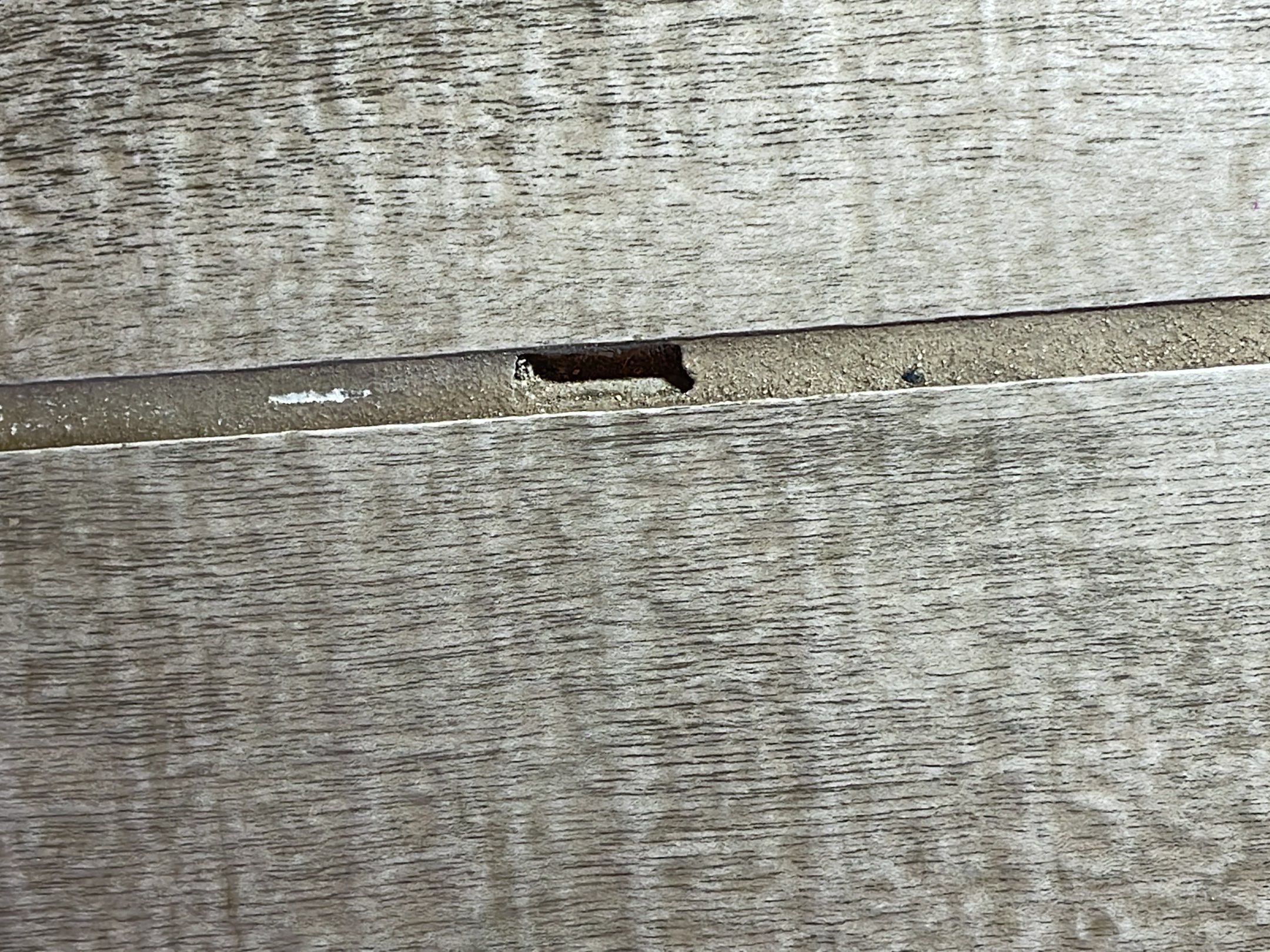 14-Sep 21 2023 10_10am-XEBm