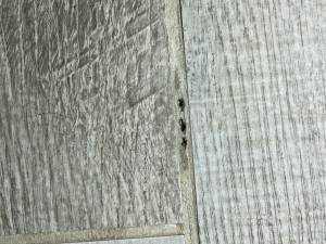 37-Sep 21 2023 10_24am-XHZr