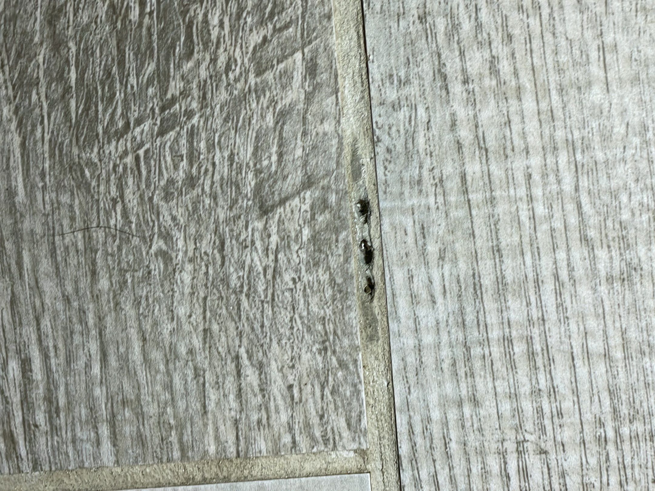 37-Sep 21 2023 10_24am-XHZr