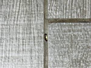 38-Sep 21 2023 10_25am-UuMH