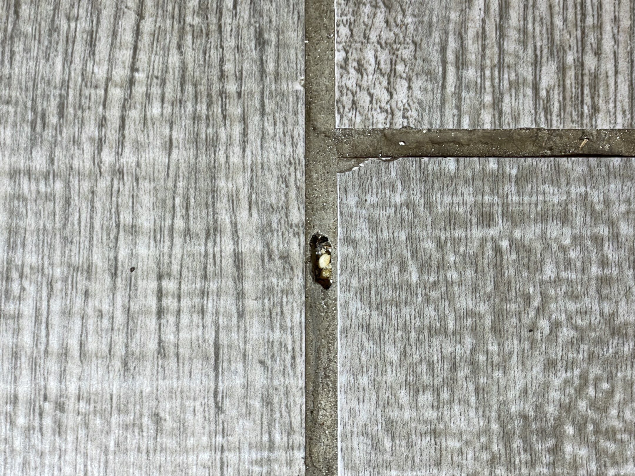 38-Sep 21 2023 10_25am-UuMH