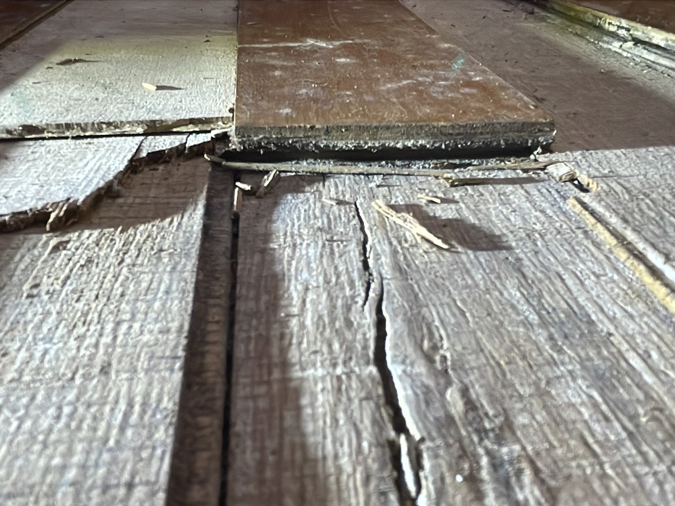 9-Oct 09 2023 10_13am-sSWk