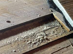 70-Aug 22 2023 11_17am-VXBW