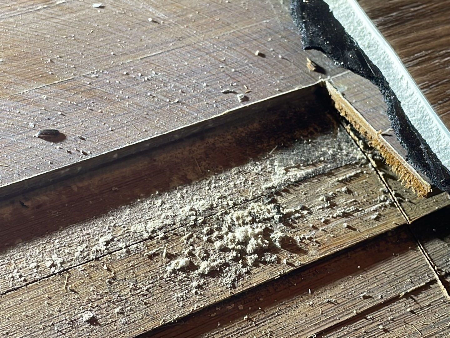 70-Aug 22 2023 11_17am-VXBW