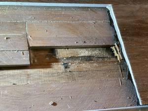 71-Aug 22 2023 11_18am-9BT9