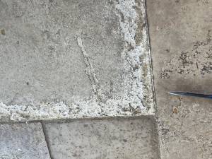 24-Nov 08 2023 11_09am-hy8R