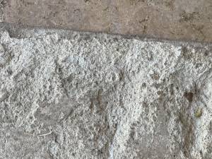 40-Nov 08 2023 11_12am-amMs