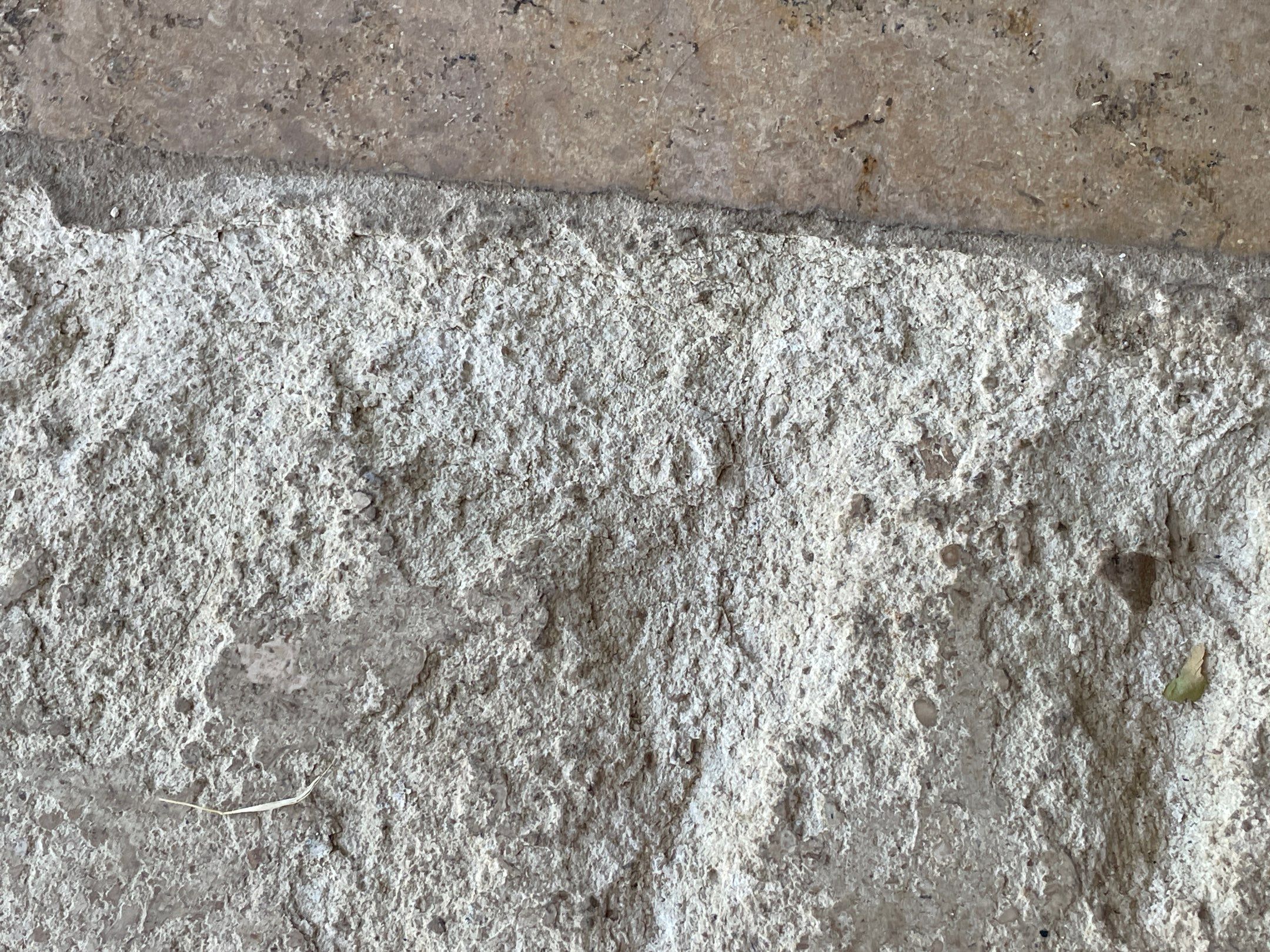 40-Nov 08 2023 11_12am-amMs