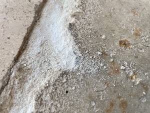 60-Nov 08 2023 11_17am-j1bw