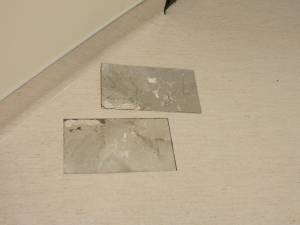 Resilient-high moisture-294