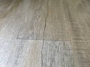 21-Jul 10 2024 03_37pm-oTje