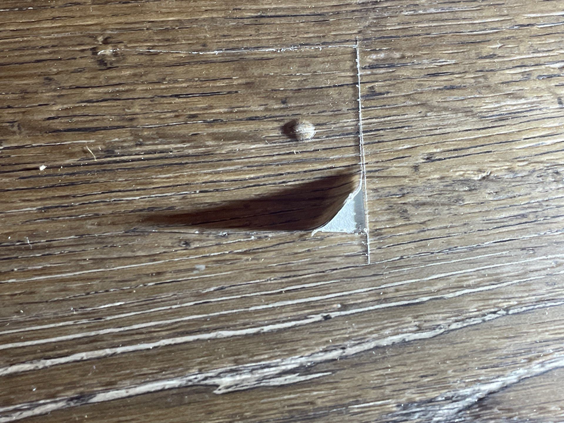 57-Sep 13 2024 02_31pm-53Cy