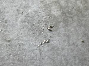 34-Sep 25 2024 11_00am-APBm