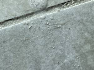 35-Sep 25 2024 11_00am-SPYZ