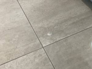 45-Sep 25 2024 11_06am-qjPu