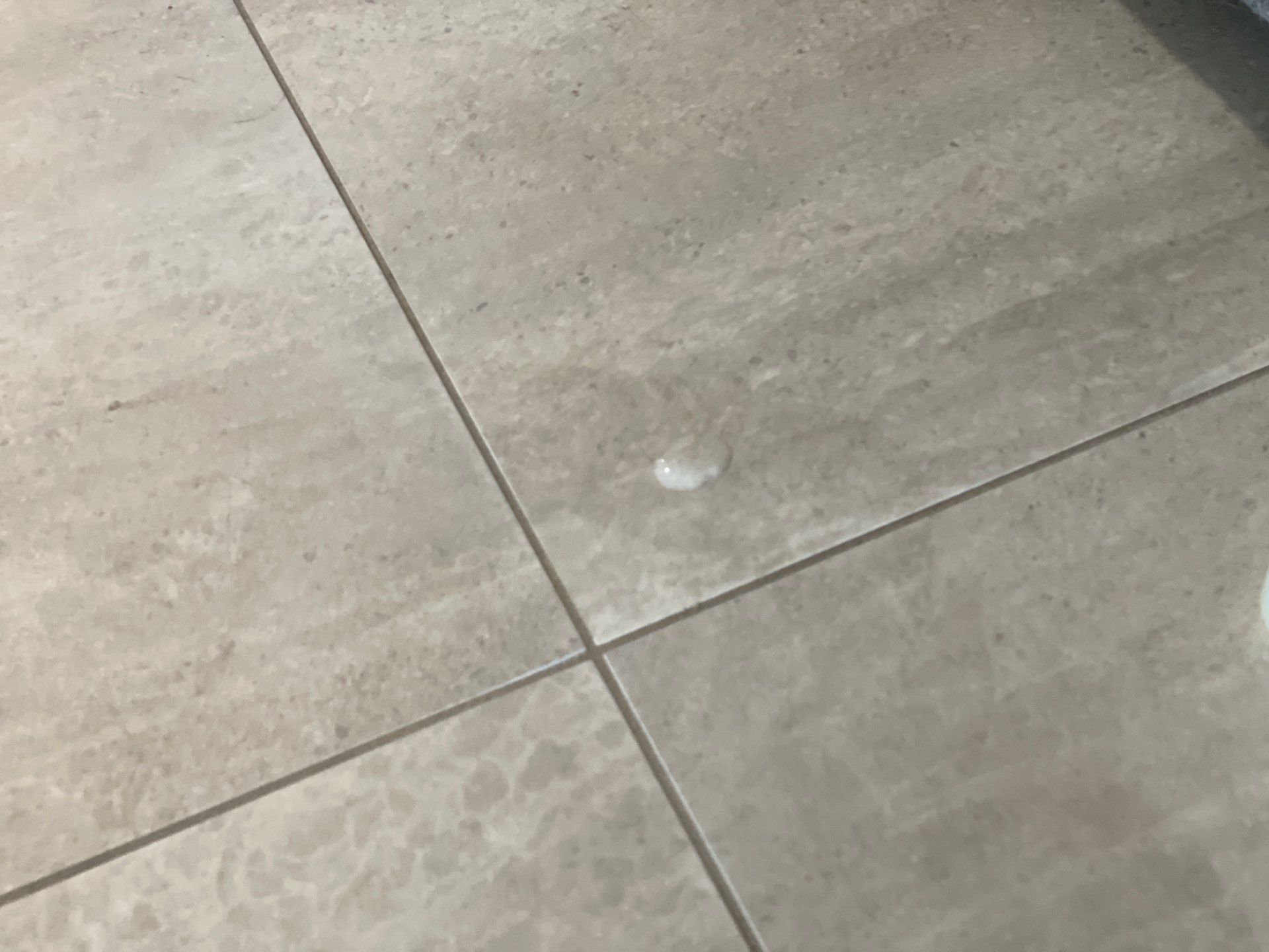 45-Sep 25 2024 11_06am-qjPu