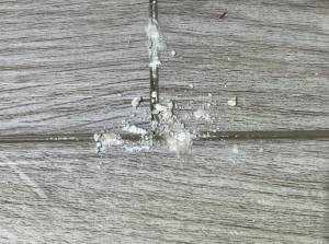 Efflorescense Photo 1 - LVT